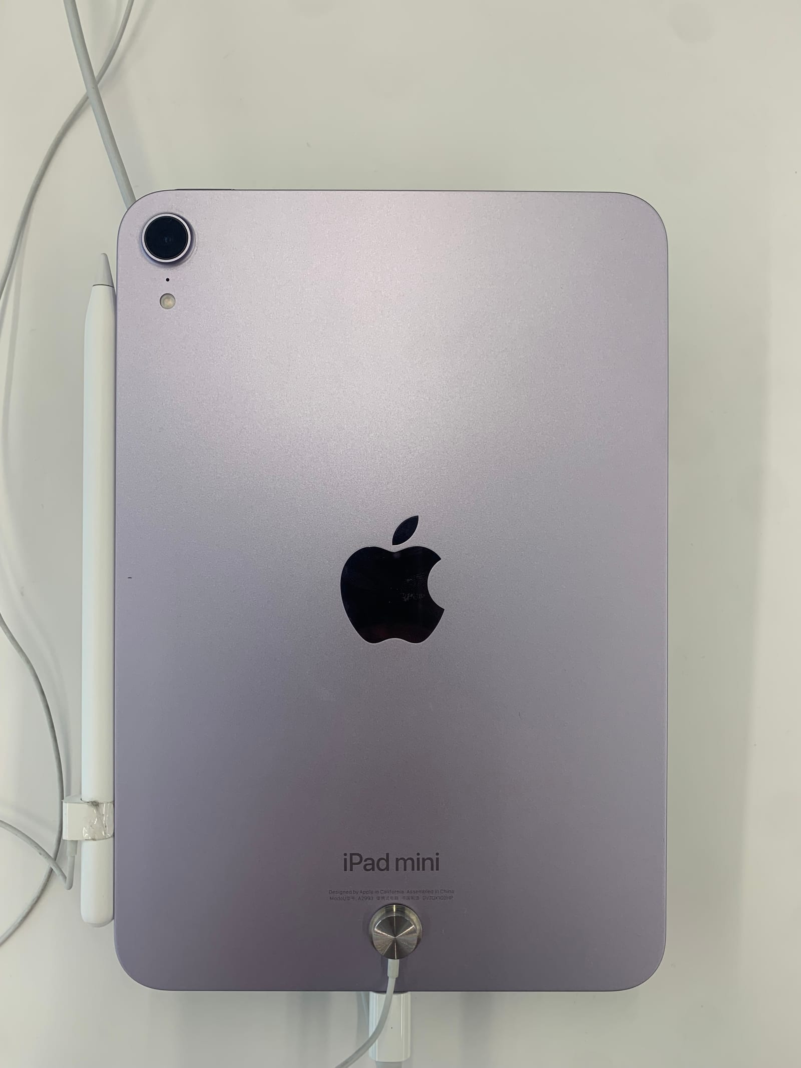 iPad mini (A17 Pro), mặt sau